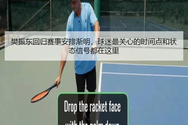 樊振东回归赛事安排渐明，球迷最关心的时间点和状态信号都在这里